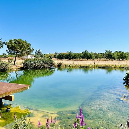 Glamping On Organic Yoga Farm With Natural Swimming Pool Near Beach Moncarapacho Dış mekan fotoğraf