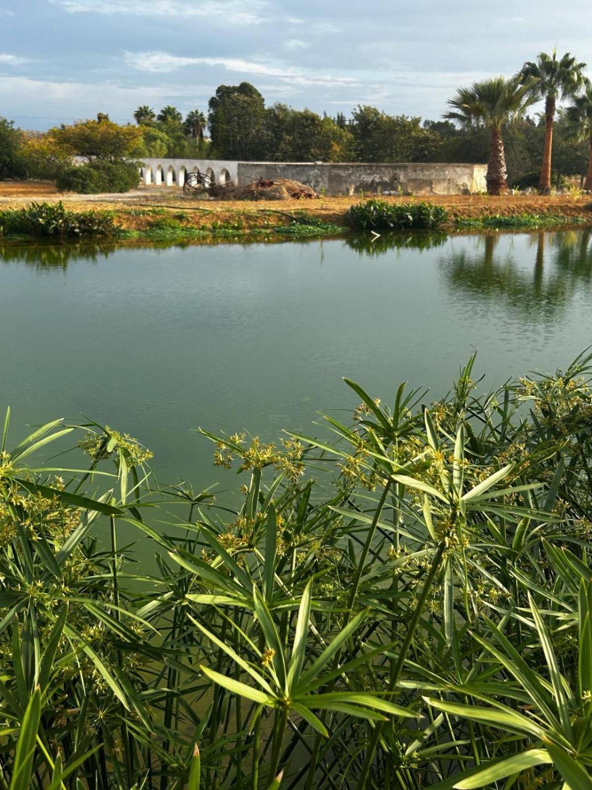 Glamping On Organic Yoga Farm With Natural Swimming Pool Near Beach Moncarapacho Dış mekan fotoğraf
