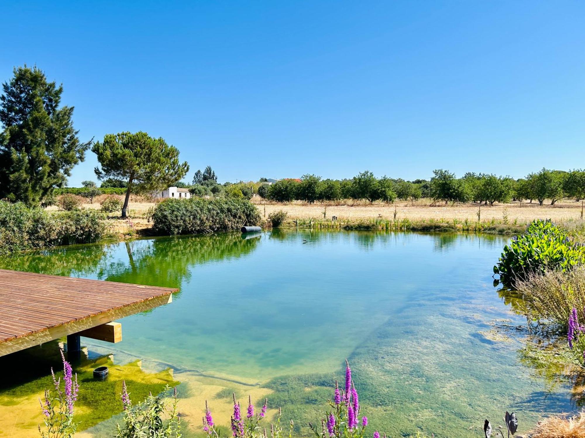 Glamping On Organic Yoga Farm With Natural Swimming Pool Near Beach Moncarapacho Dış mekan fotoğraf
